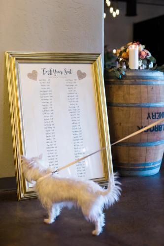 downtown san diego wedding venue